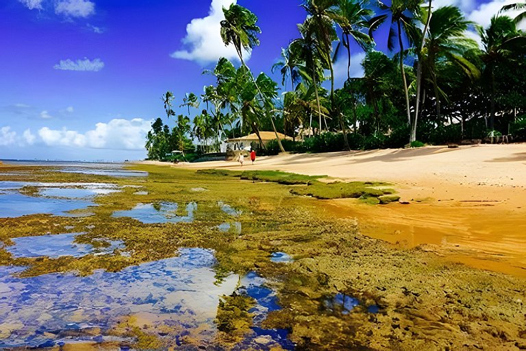 Villa das Acácias - Natú - Praia do Forte