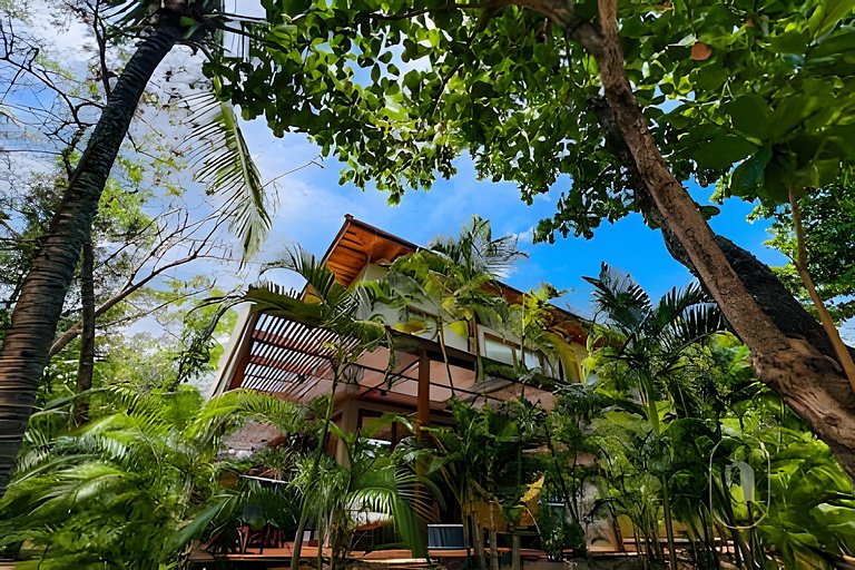 Villa Jasmin - Natú - Praia do Forte