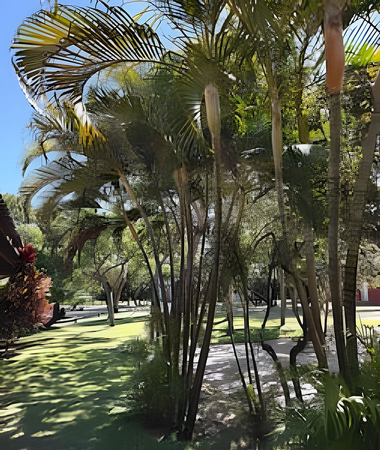 Villa Flora - Natú - Praia do Forte